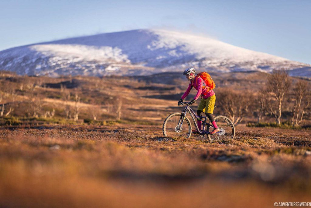 Mountainbike vid Storulvån, Jämtlandstriangeln | Foto: Niclas Vestefjell