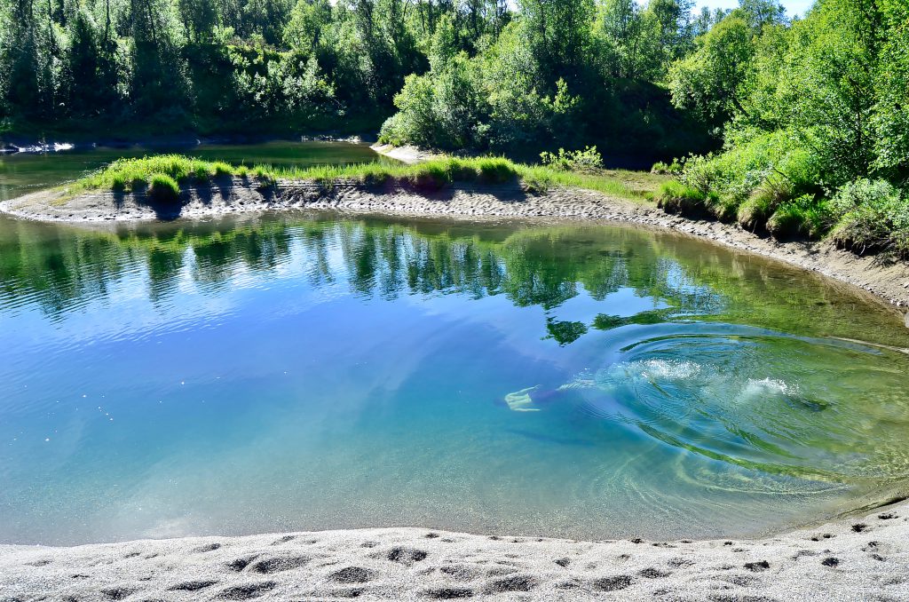 Dyker Bjurälven Vilseledaren