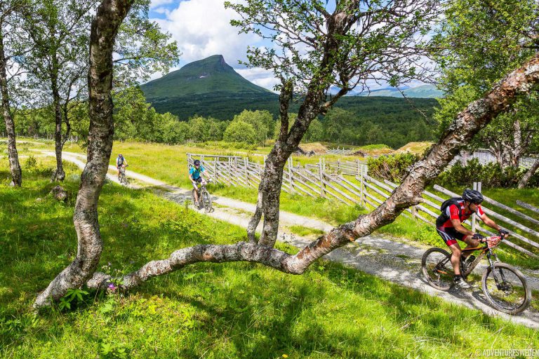 Mountainbike i Funäsfjällen | Foto: Anders Robertsson