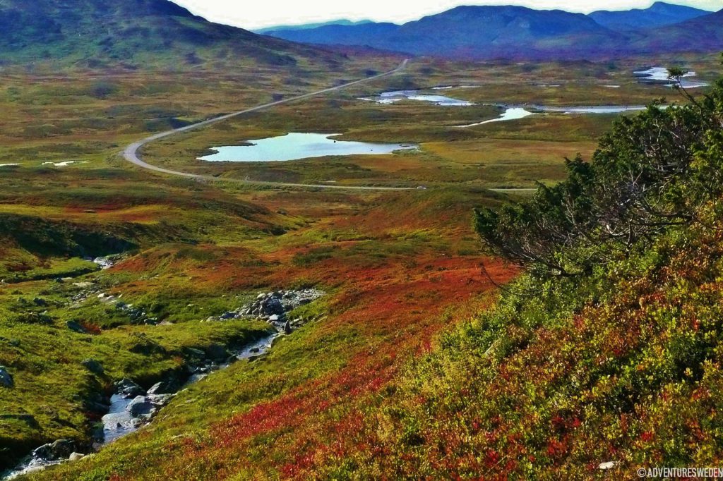 Vildmarksvägen| Foto: Madeleine Aaraas