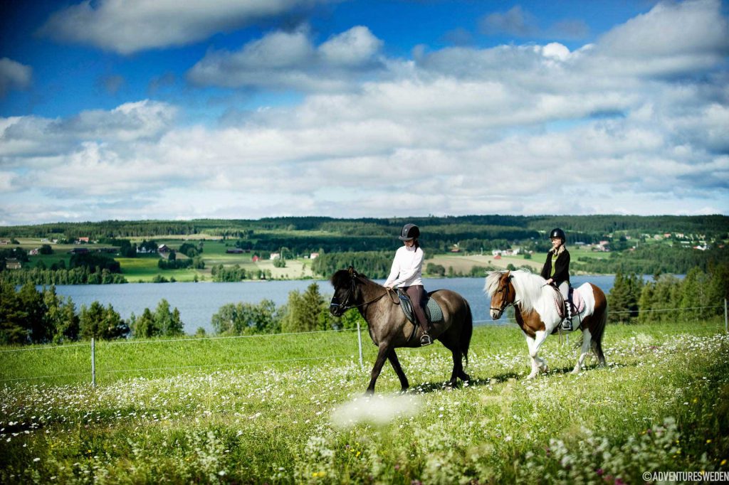 Hästridning i Storsjobygden | Foto: Sandra Lee Pettersson