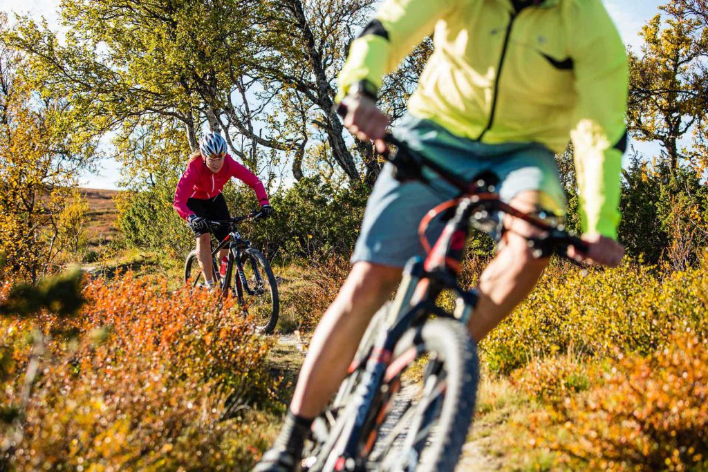 Biking in Funäsfjällen | Photo: Anette Andersson