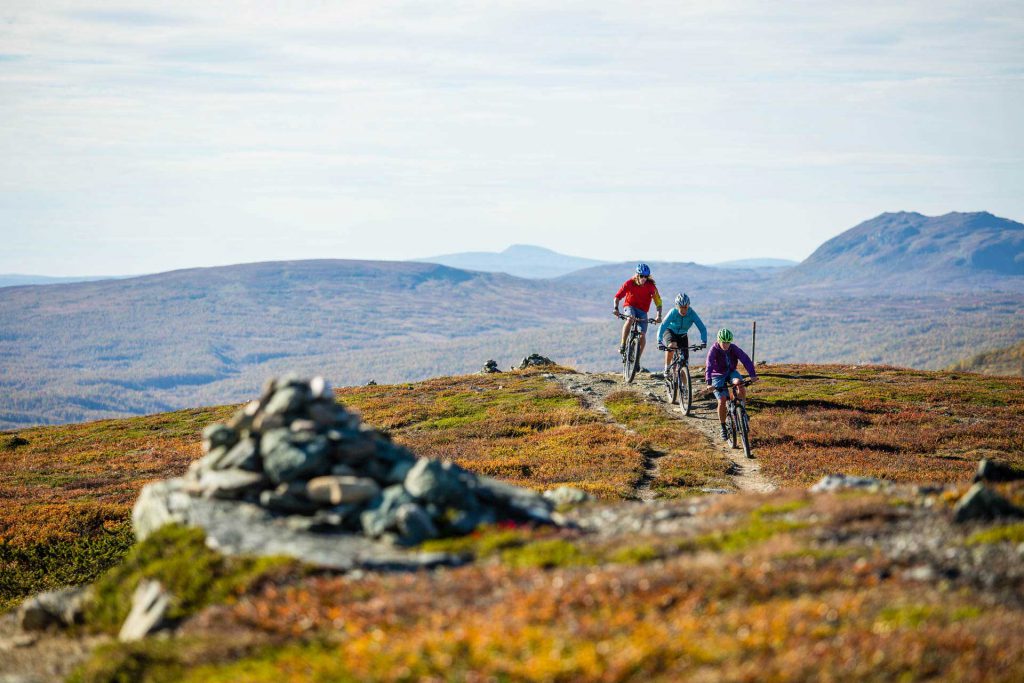 Biking in Funäsfjällen | Photo: Anette Andersson