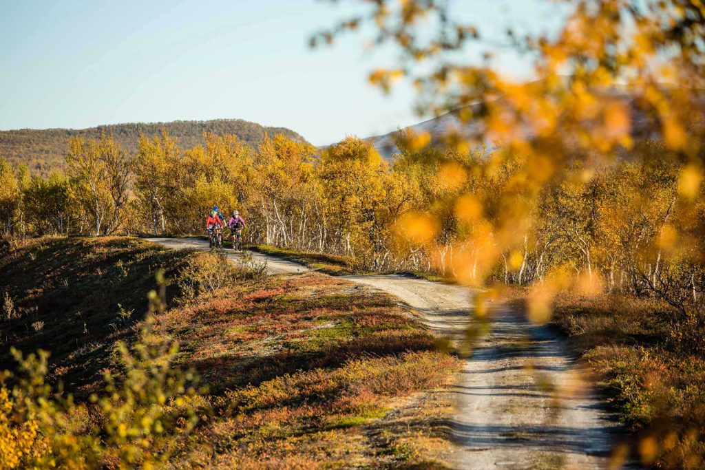Biking in Funäsfjällen | Photo: Anette Andersson