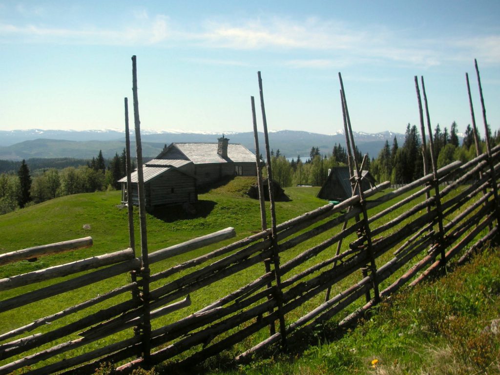 Vandring Myhrbodarna. Foto © Myhrbodarna