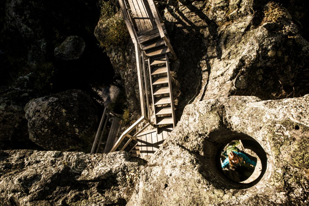 Dead falls in Ragunda | Photo: Niclas Blom