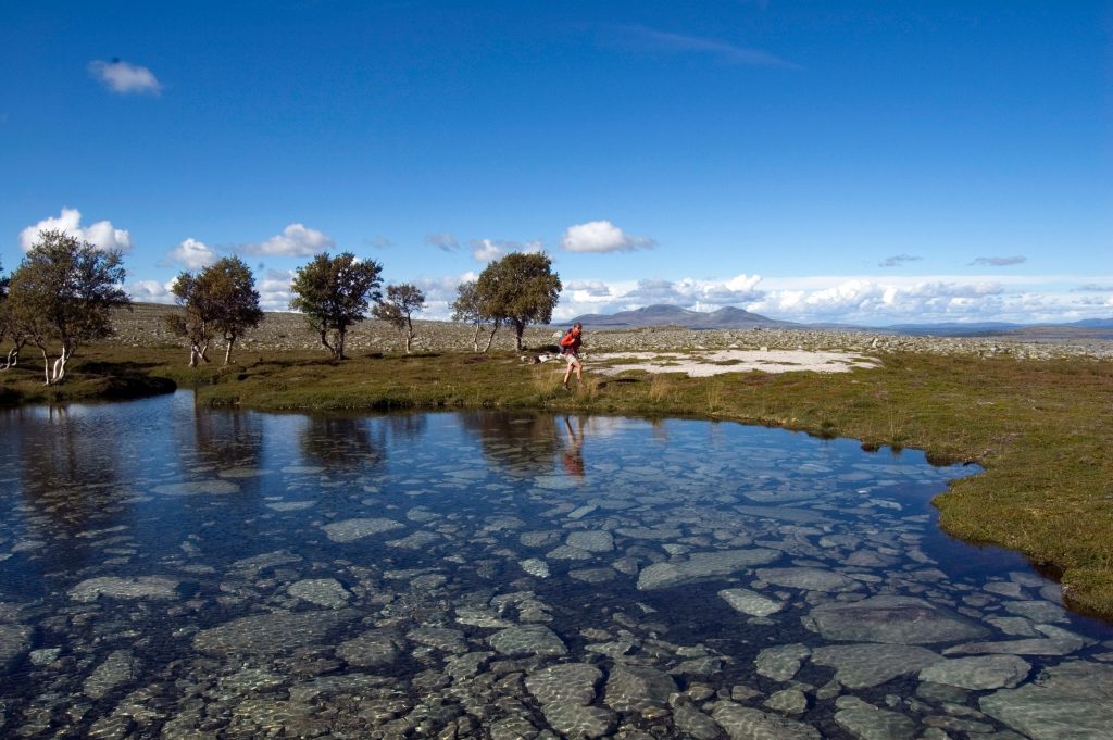 Vandring Rogen Lena Hedman