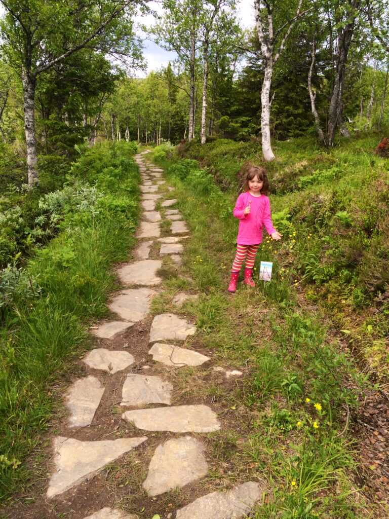 Blomsterleden Storlien Anne Adsten