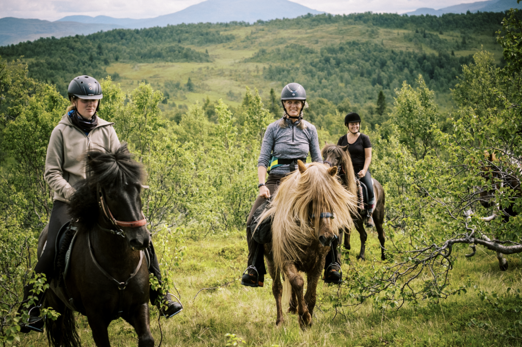 Riding mountains Jämtland Härjedalen Darren Hamlin